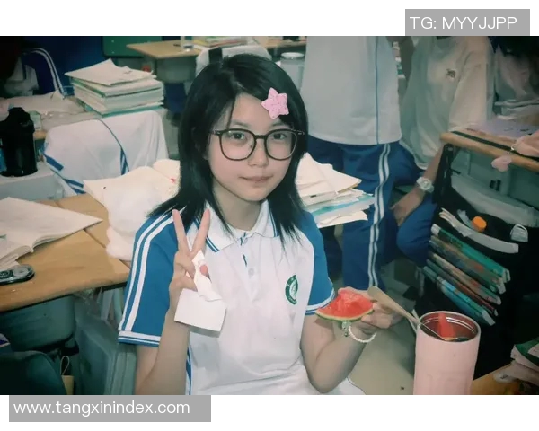 糖心vlog官网入口下载-糖心vlog官网，探寻魅力vlog的新视界入口下载指南-